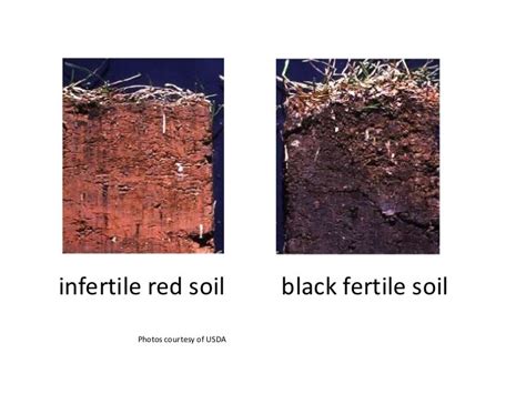 Properties Of Soils Teach