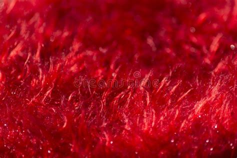 Red fuzzy fabric texture stock image. Image of wool, strand - 53479883