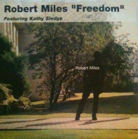 Robert Miles Featuring Kathy Sledge Freedom 1997 Vinyl Discogs