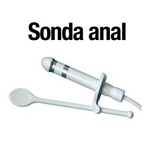 Sonda Anal