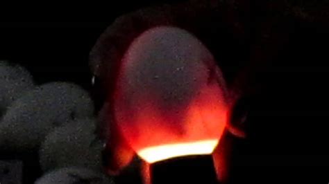 Duck Egg Candling Day 14 Youtube