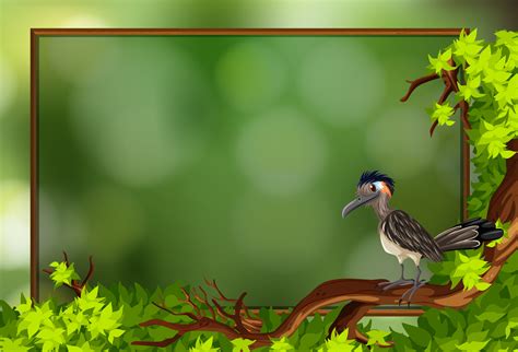 Фон рамка с птичками - 73 фото