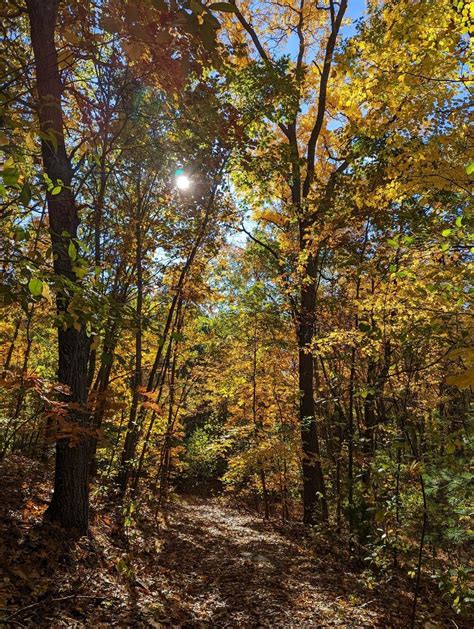 keeping  forest  earthwise aware