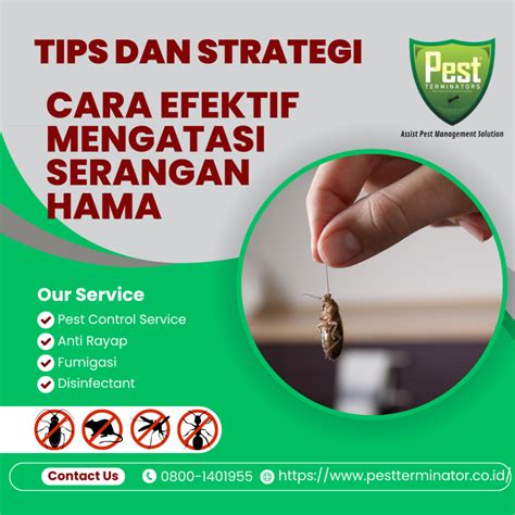 Cara Mengatasi Serangan Hama Pest Terminator Indonesia