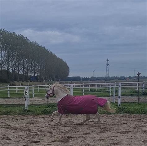 Benen Strekken Doe Je Nooit Alleen Dit Doe Je Samen Bokt Nl