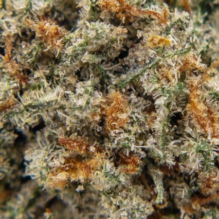 Buy Sex On The Beach Cannabis Online Wtf Online Dispensary Cannabis