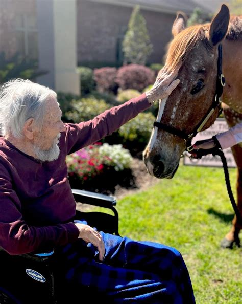 Healing with Horses Louisiana | Folsom LA