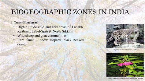 THE BIOGEOGRAPHIC ZONES OF INDIA Ppttxx PPT