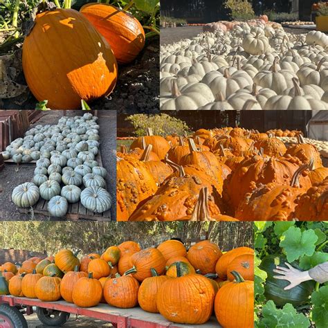 Dig Deep Farms (@dig.deep.farms) • Instagram photos and videos