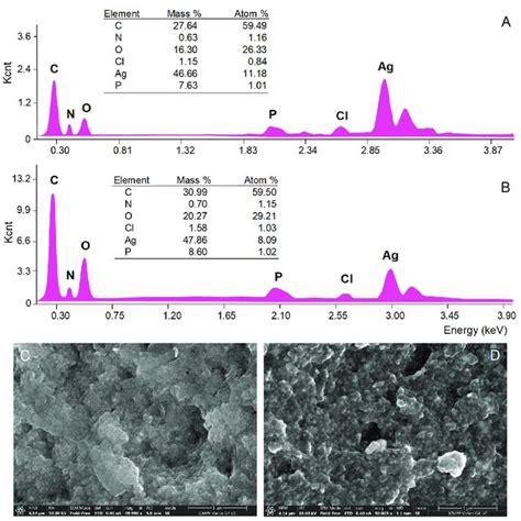 Elemental Composition EDX Spectra And SEM Micrographs Of Abies Alba