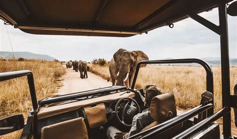 affordable african safari options