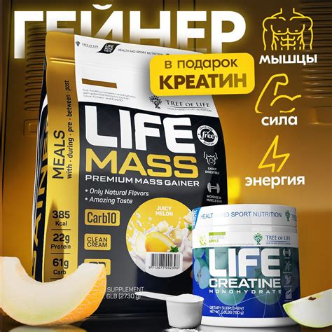 Гейнер Tree of life 6LB Дыня + Креатин моногидрат 150 грамм / Комплекс ...