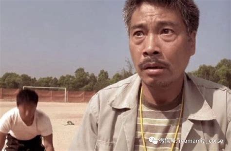 达叔，晚安，意大利语翻译达叔经典台词。-MAMAMIA意大利语学校