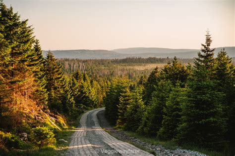 Bezienswaardigheden In Het Harz Gebergte Doen Zien En Eten