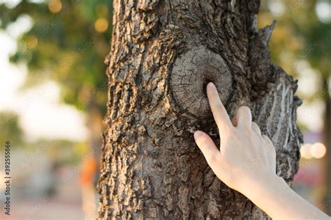 Love Nature Concept Woman Give A Hug Behind Tree Tree Hugging Close