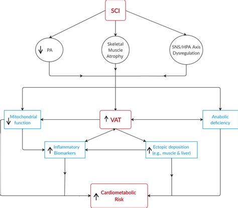 Interactions Between Vat And Other Factors Leading To Increased