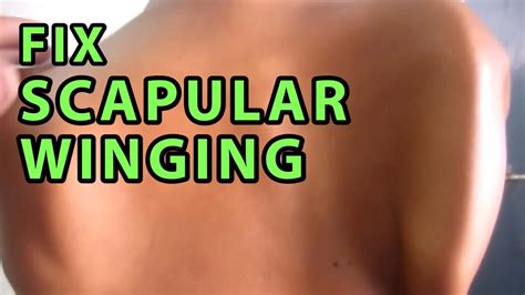 5 Exercises To Fix Winged Scapular Scapular Stabilising Exercises