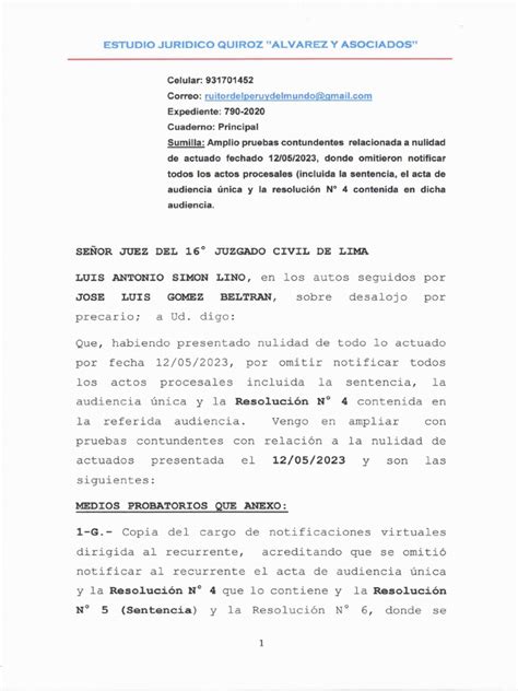 Amplia Pruebas De Nulidad De Actuados Pdf