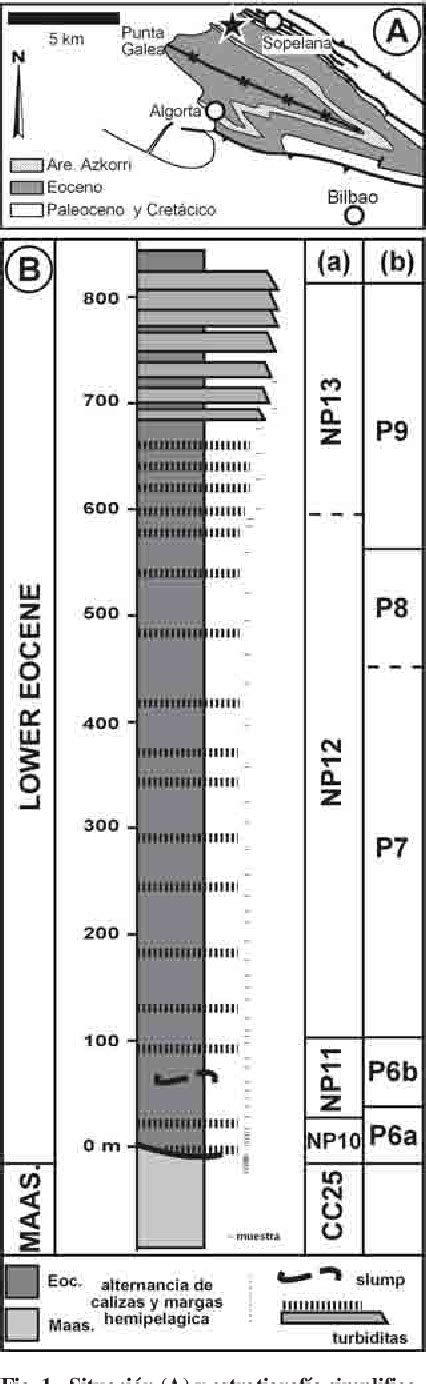 Figure 1 from Análisis bioestratigráfico del Eoceno Inferior de la