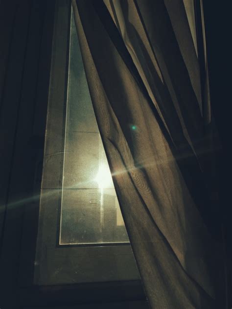 Amateur Photographers On Tumblr Tumblr Communities