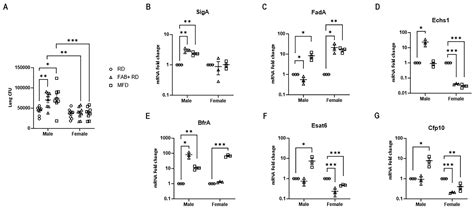 Ijms Free Full Text The Influence Of Body Fat Dynamics On Pulmonary