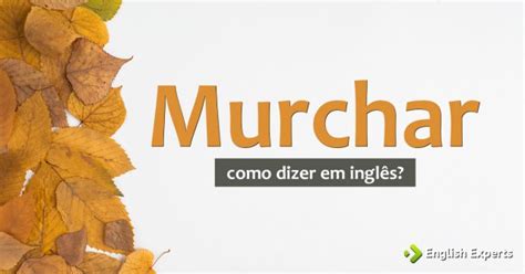 Como Se Escreve Murcha - Como dizer "Murchar; Murcho" em inglês - English Experts