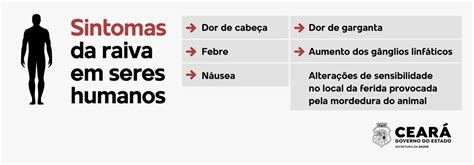 Rã Transmite Doença Para Humanos - Raiva: saiba mais sobre a doença, quais os sintomas e como prevenir ...