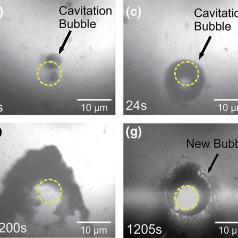 Pdf Multi Pulse Laser Induced Bubble Formation And Nanoparticle