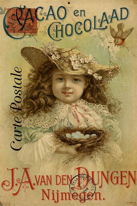 Vintage Postcard Chocolate Advert Free Stock Photo - Public Domain Pictures