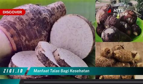 Temukan Manfaat Talas Bagi Kesehatan Yang Bikin Kamu Penasaran