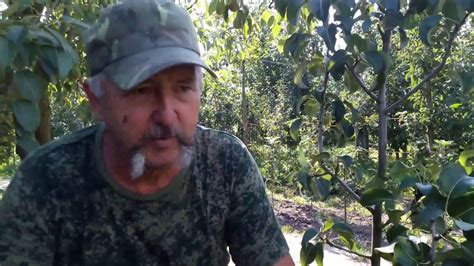 Груша Просто Мария и Талгарская красавица - YouTube