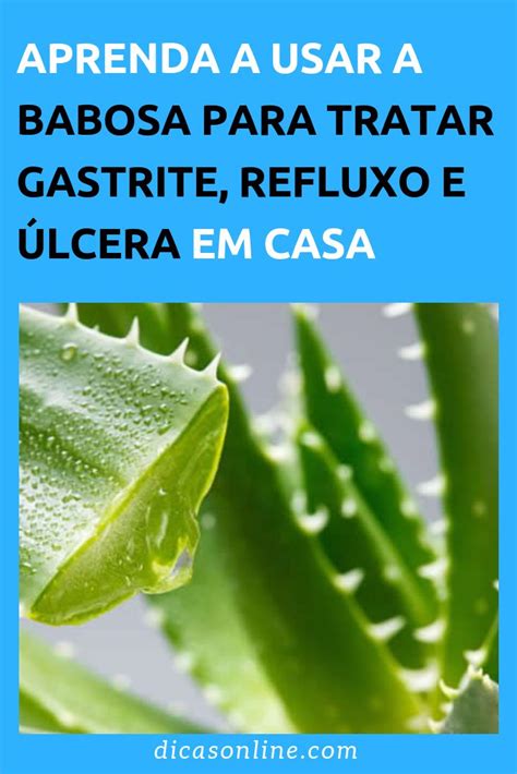 Babosa E Bom Para Gastrite - Babosa para gastrite, refluxo e úlcera? | Cura gastrite