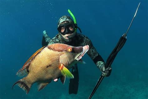 spearfish   legal safe  sustainable