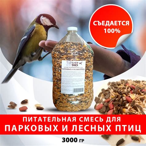 Корм для голубей, уток, воробьев, соек и других парковых и лесных птиц ...