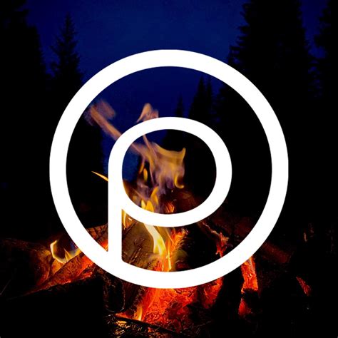 Protex AS Logo & Brand Assets (SVG, PNG and vector) - Brandfetch