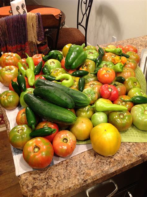 Tomatoes,cucumbers and peppers | Diy food, Tomato, Stuffed peppers