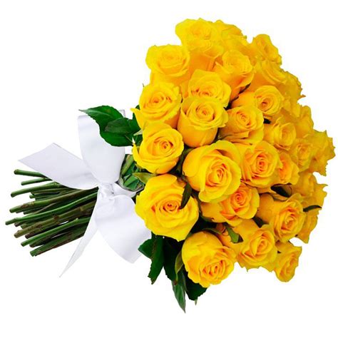 Buque De Flores Amarelas - Buquê de 36 Rosas Amarelas - Fênix Floricultura - Flores, Cestas e ...