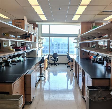 Future breakthroughs are expected from the lab of julia burgess 13