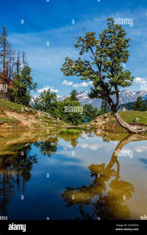 indian himalayan landscape  himalayas stock photo alamy