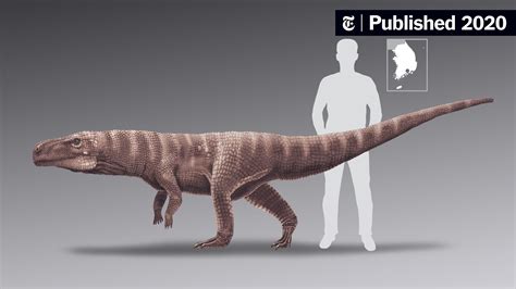 Tracks Hint at a Crocodile Ancestor That Walked on 2 Legs - The New