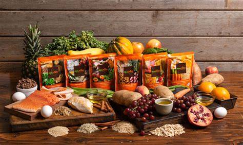 Blenderized Meals Archives My Site