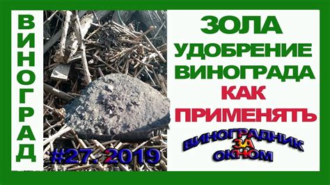 🍇 Древесная зола. Совет по применению. Идеальное удобрение. Виноград ...