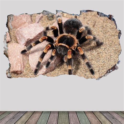 Large Spider Wall Decals Etsy
