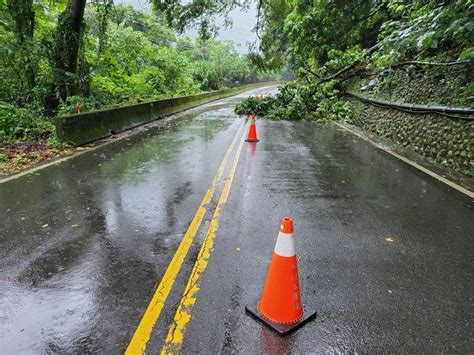 護國神山發威！ 中市幾乎無風雨 僅4路樹倒塌、1路燈不亮 臺中市 自由時報電子報