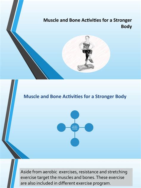 Lesson 2 Grade 11 Muscle And Bone Activities For A Stronger Body Pdf Flexibility Anatomy