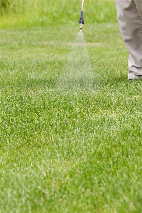 When To Apply Crabgrass Preventers In Spring Artofit