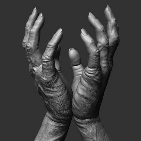 Should I get student license or regular : r/ZBrush