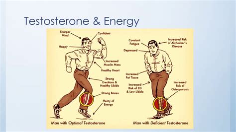 Physiology Of Sex Hormones Youtube