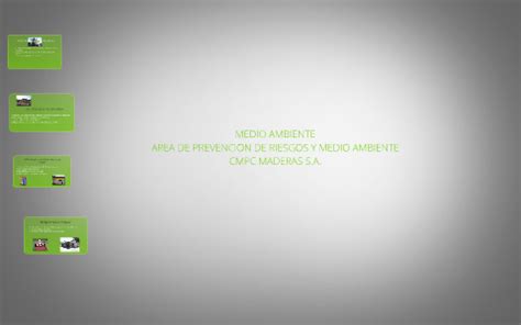 Medio Ambiente By Paula Aguirre On Prezi