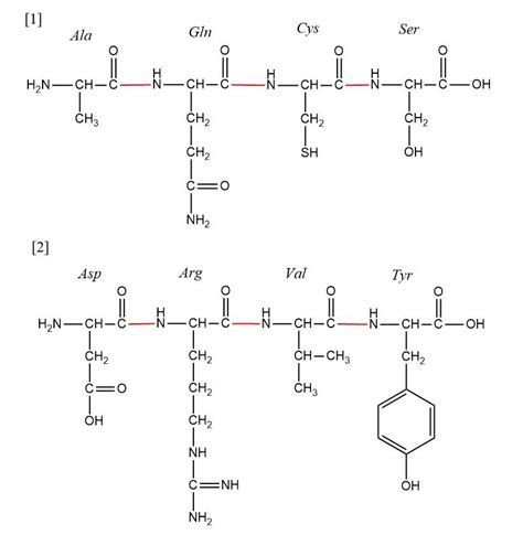 For Each Tetrapeptide 1 Alaglncysser 2 Aspargvalt Quizlet